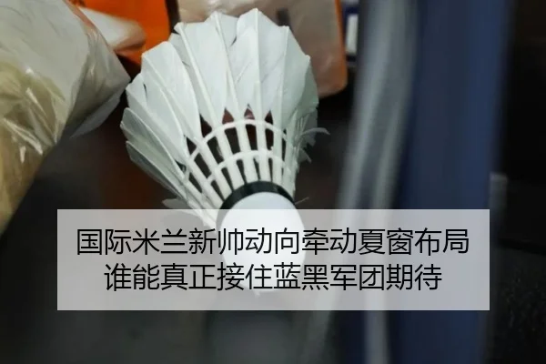 国际米兰新帅动向牵动夏窗布局 谁能真正接住蓝黑军团期待（leyu）